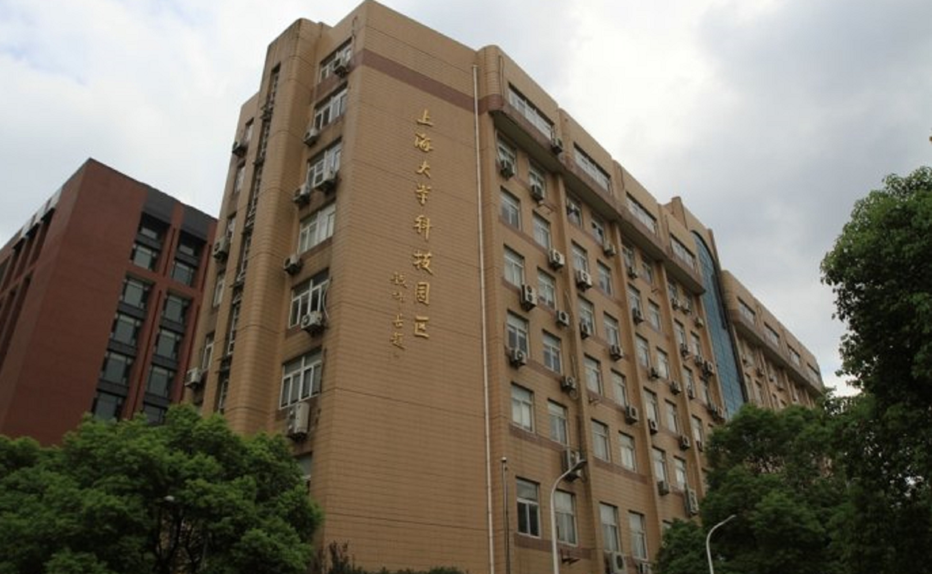 上海大学毕业证(上海大学毕业证封面图片)