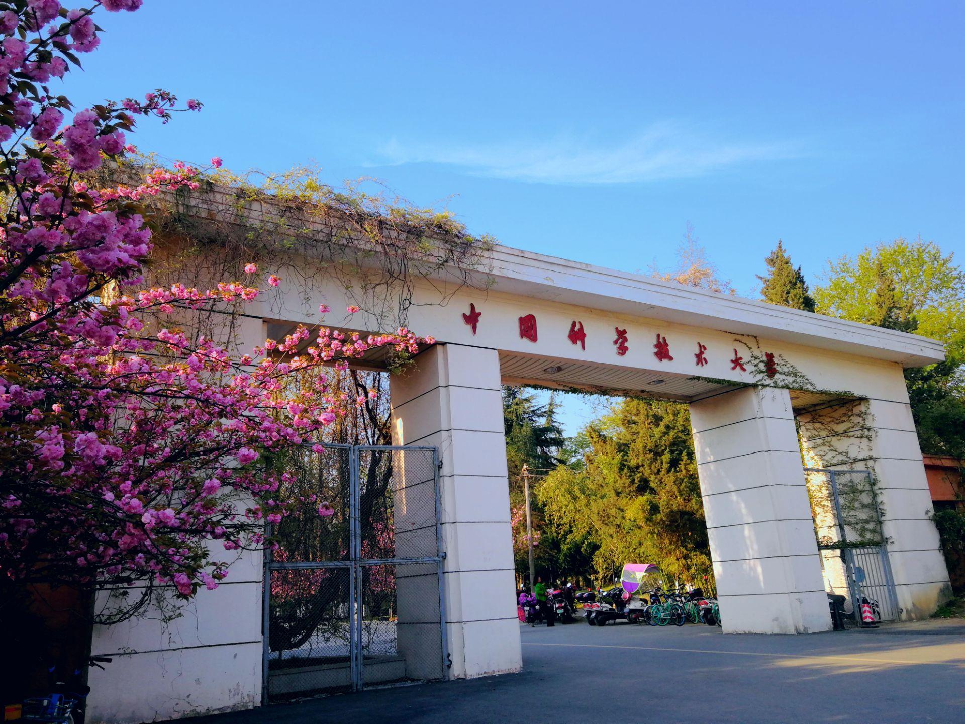 中国科学技术大学是985还是211