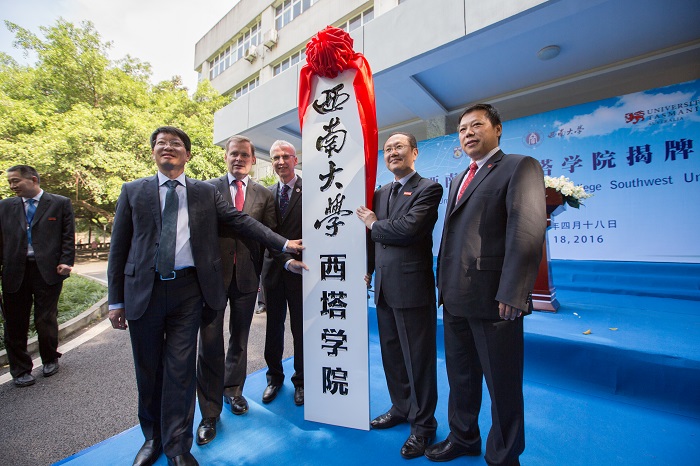西南大学毕业证查询系统