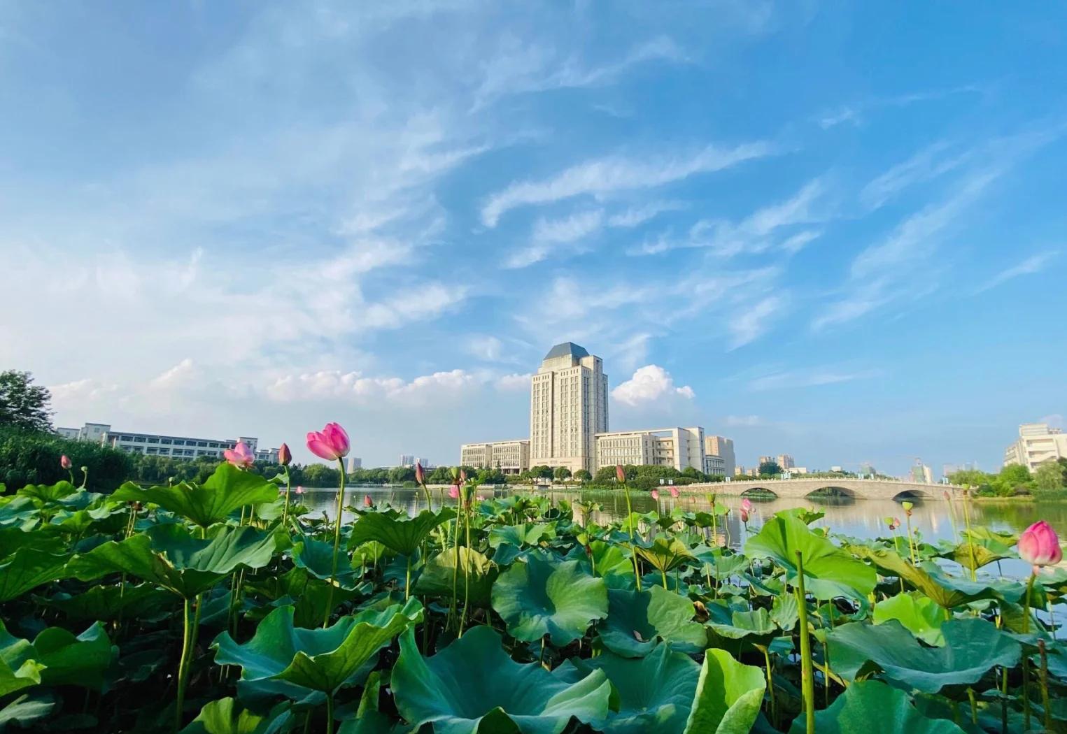 江南大学官网