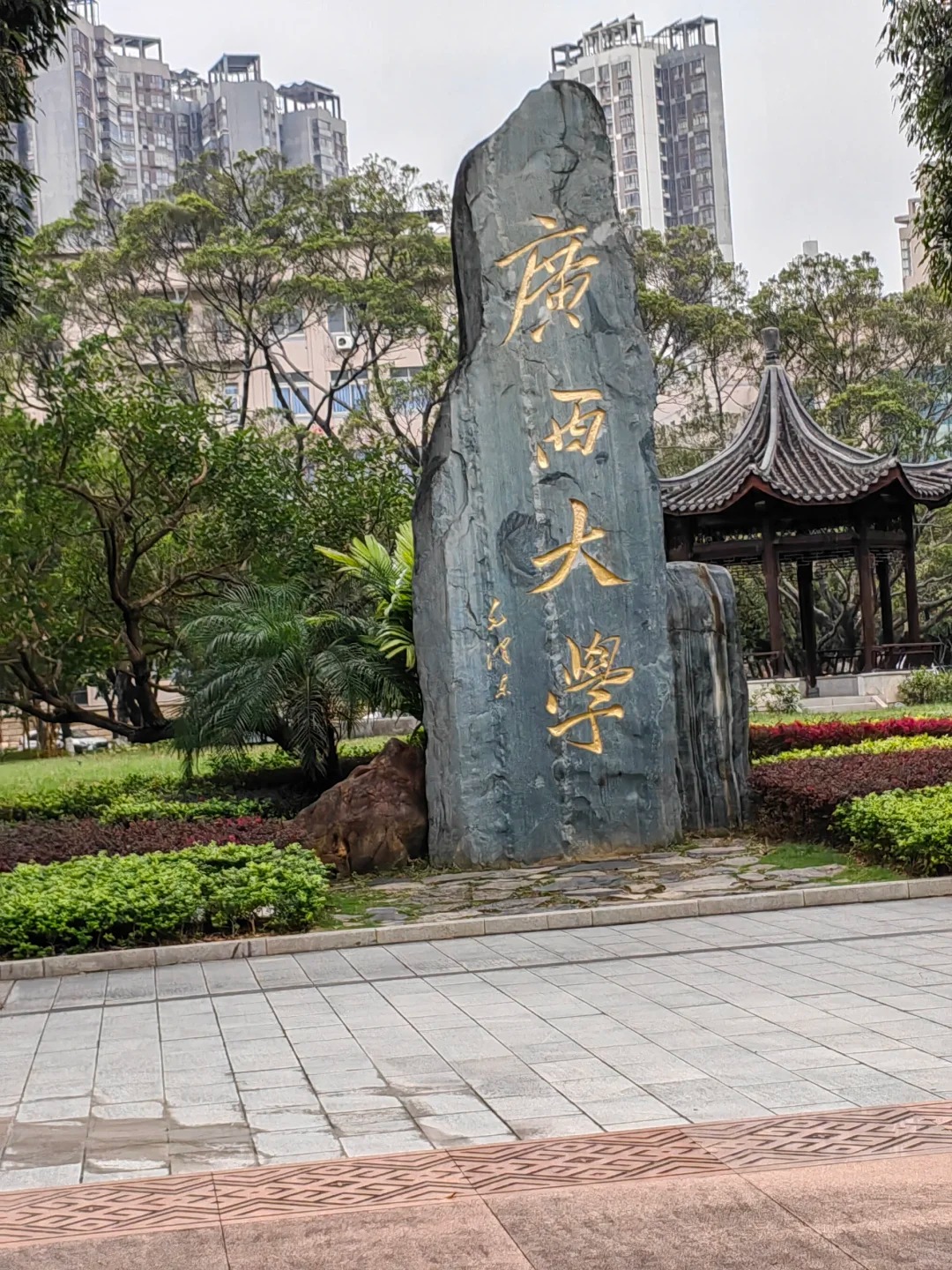 广西大学王牌专业