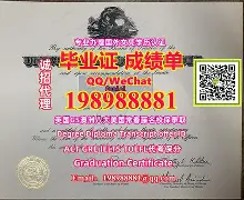中国农业大学条件怎么样
